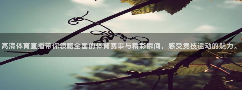 高清体育直播带你领略全国的体育赛事与精彩瞬间，感受竞技运动的魅力。