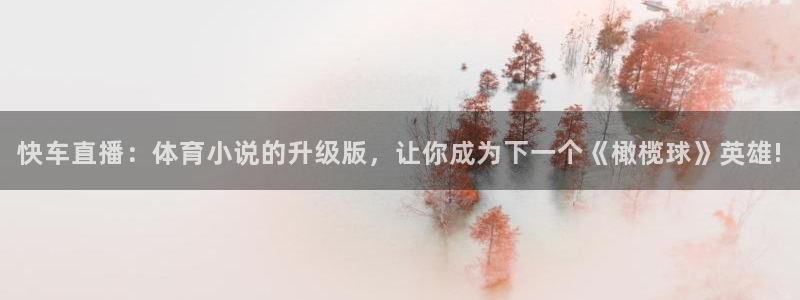 快车直播：体育小说的升级版，让你成为下一个《橄榄球》英雄!