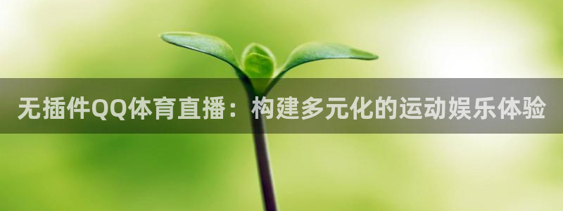 无插件QQ体育直播：构建多元化的运动娱乐体验